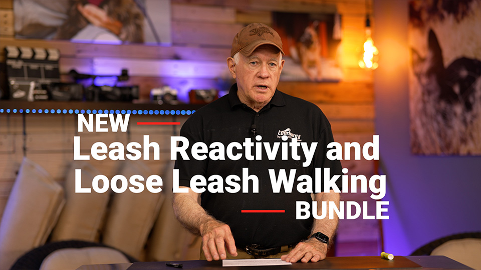 Leash Reactivity and Loose Leash Walking Bundle