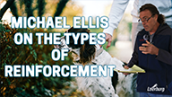 Michael Ellis on Types of Reinforcement