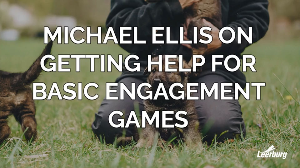 Michael Ellis on Getting Help for Basic Engagement Games