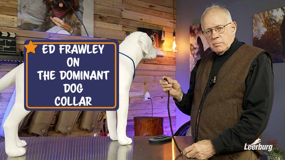 Ed Frawley on The Dominant Dog Collar