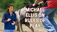 Michael Ellis on Rules of Play
