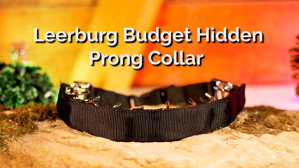 Leerburg  How to Fit a Prong Collar