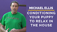 Michael Ellis on Conditioning Your Puppy to Relax in the House