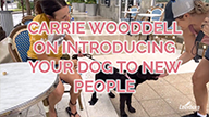 Carrie Wooddell on Introducing Your Dog to New People