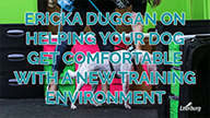 Ericka Duggan on Helping Your Dog Get Comfortable with a New Training Environment