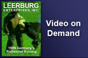 1989 Germanys Rottweiler Korung 