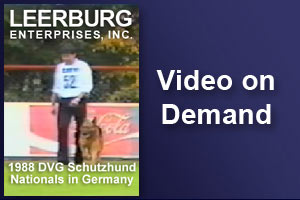 1988 DVG Schutzhund Nationals in Germany