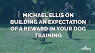 Michael Ellis on Building An Expectation of A Reward in Your Dog Training