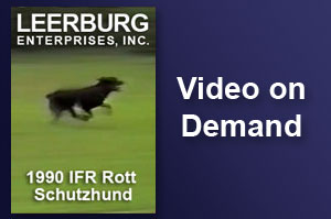 1990 IFR Rott Schutzhund - Part 2