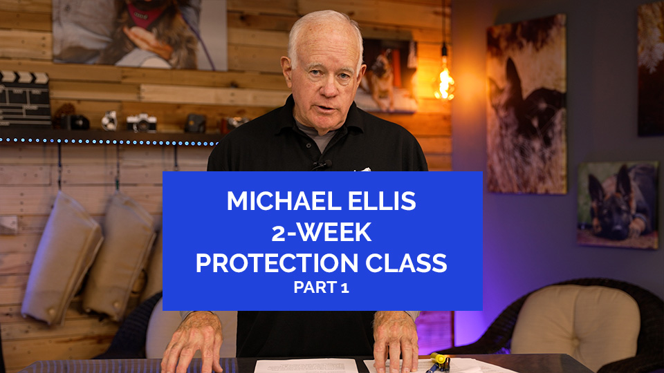 New Course! Michael Ellis Protection Class Part 1 - Now Available!