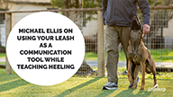 Michael Ellis on Using Your Leash as a Communication Tool While Teaching Heeling