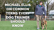 Michael Ellis on Common Terms Every Dog Trainer Should Know
