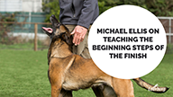 Michael Ellis on Teaching the Beginning Steps of The Finish