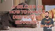 JJ Belcher on How to Handle Destructive Behaviors