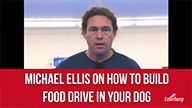 Michael Ellis on How to Build Food Drive in Dogs
