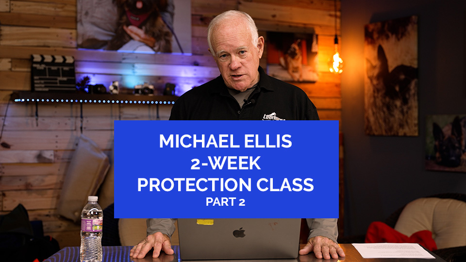 Michael Ellis 2-Week Protection Class Part 2