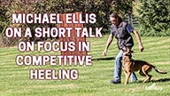 Michael Ellis on A Short Talk on Focus in Competitive Heeling