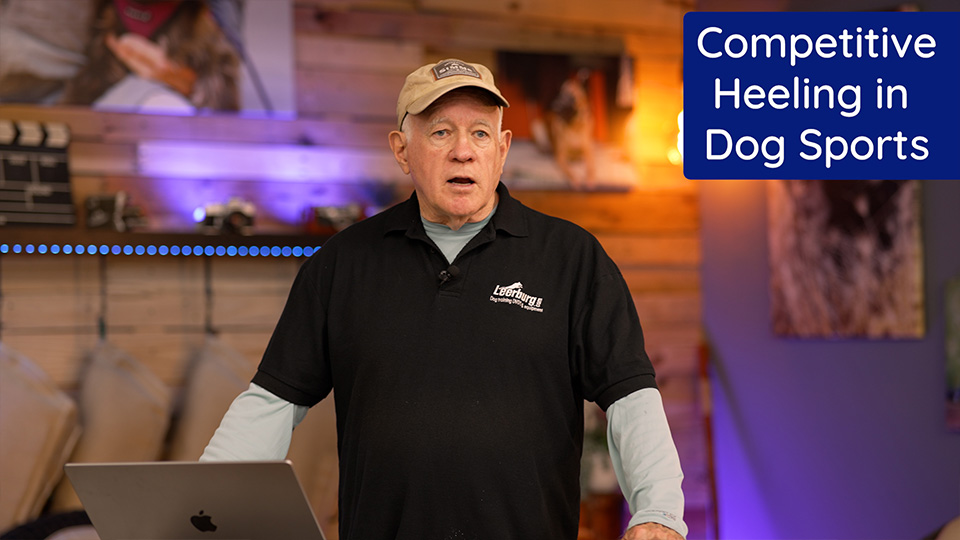 Competitive Heeling in Dog Sports