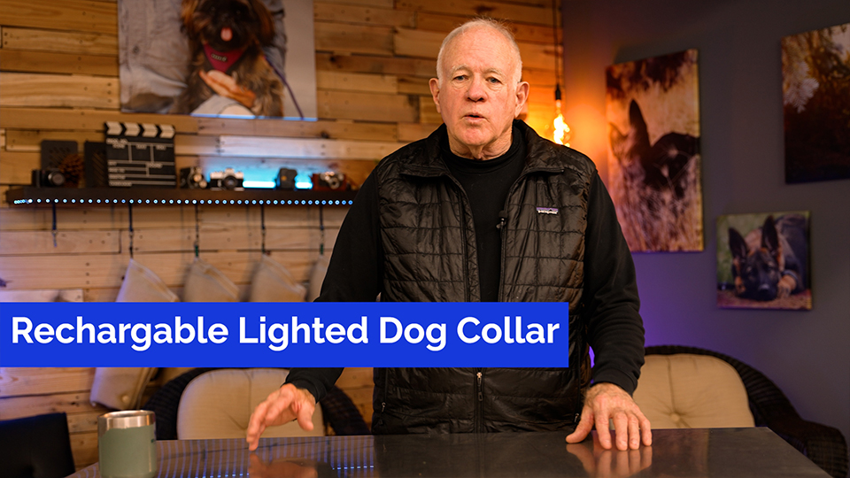 Rechargeable Lighted Dog Collar