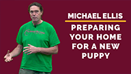 Michael Ellis on Preparing Your Home For a New Puppy