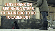 Jens Frank on Beginning Steps to Train Dog to Go to Laser Dot