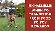 Michael Ellis on When to Transition from Food to Toy Rewards