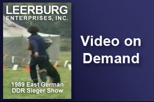 1989 East German DDR Sieger Show