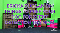 Ericka Duggan on Things to Prep Your Dog For Scent Detection Training