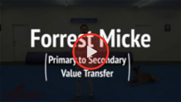Primary to Secondary Reward Value Transfer with Forrest Micke