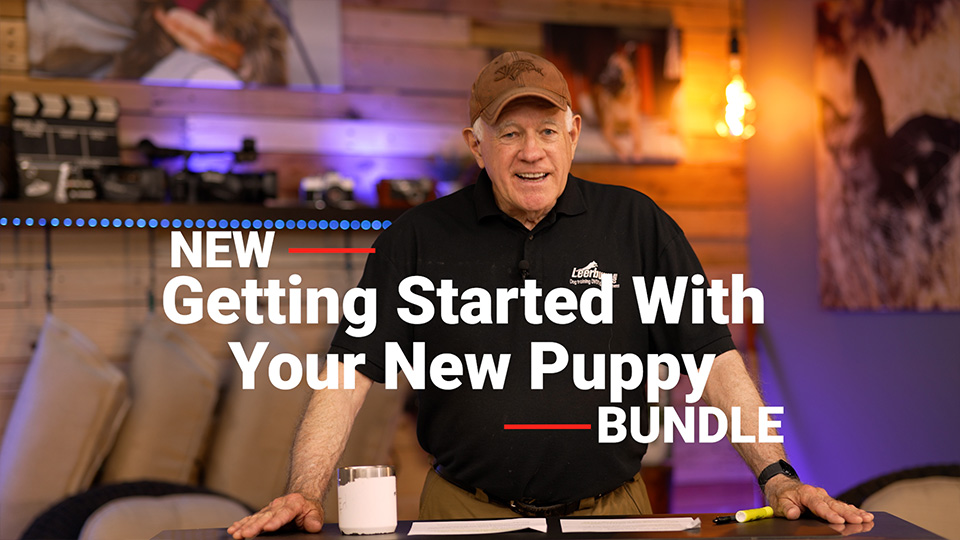 Getting Started With Your New Puppy Bundle