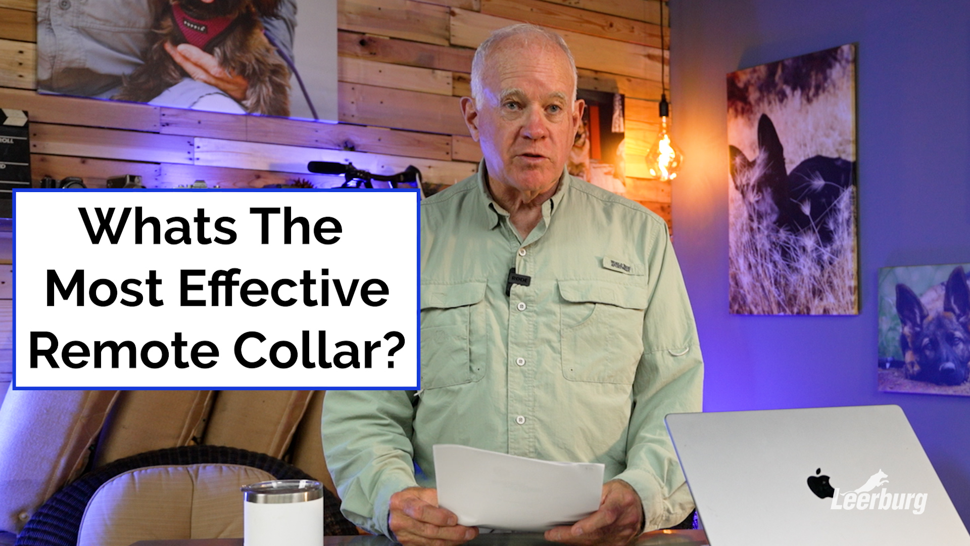 What Is The Most Effective Remote Collar?