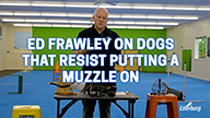 Ed Frawley on Dogs That Resist Putting a Muzzle On