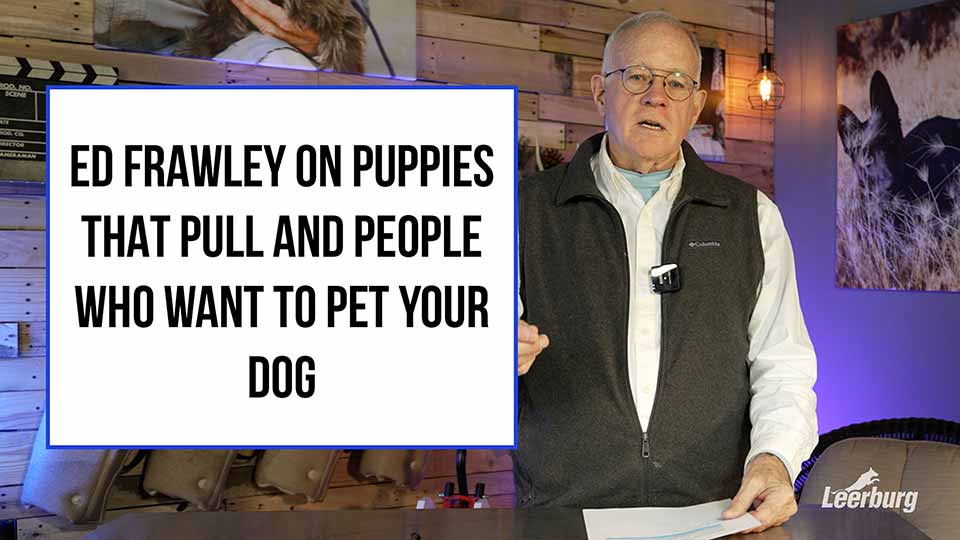 Ed Frawley on Puppies That Pull and People Who Want to Pet Your Dog