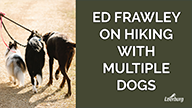 Ed Frawley on Hiking with Multiple Dogs
