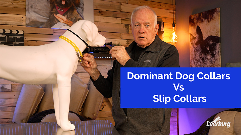 Dominant Dog Collars vs Slip Collars