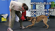 Michael Ellis on Channeling the Dogs Energy