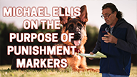 Michael Ellis on The Purpose of Punishment Markers