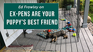 Ed Frawley on Ex-pens Are Your Puppys Best Friend