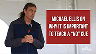 Michael Ellis on Why It Is Important to Teach a "No" Cue