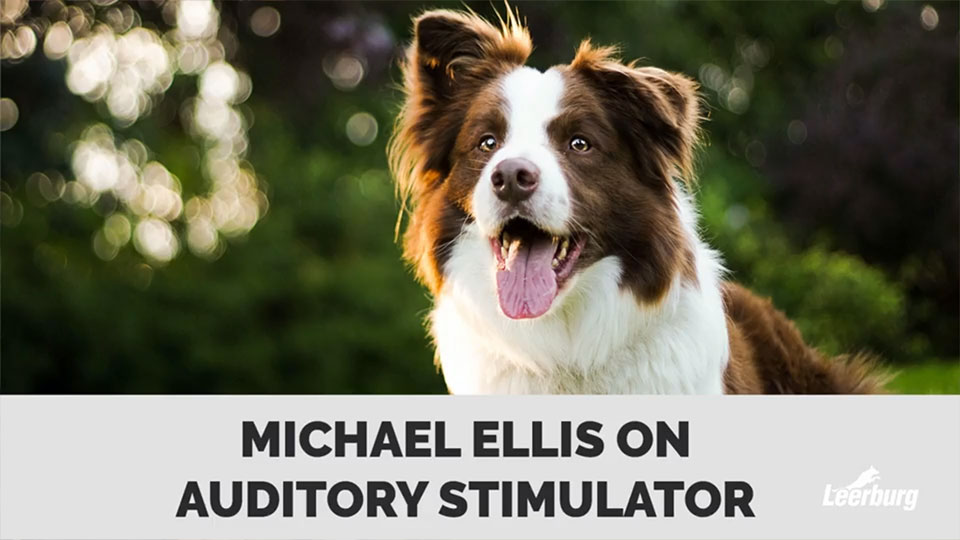Michael Ellis on Auditory Stimulator