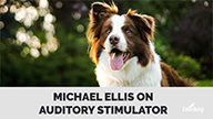 Michael Ellis on Auditory Stimulator