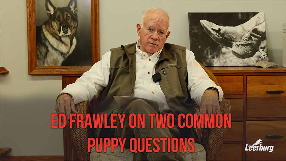 Ed Frawley on Two Common Puppy Questions