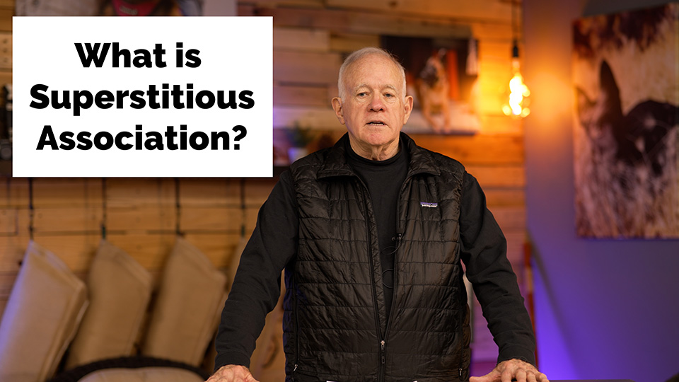 What is Superstitious Association in Dog Training