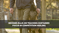 Michael Ellis on Teaching Sustained Focus in Competition Heeling