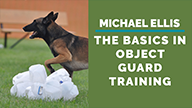 Michael Ellis on The Basics of Object Guard Training