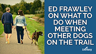 Ed Frawley on What To Do When Meeting Other Dogs on The Trail