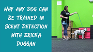 Why Any Dog Can Be Trained in Scent Detection with Ericka Duggan