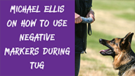 Michael Ellis on How to Use Negative Markers During Tug