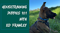 Housetraining Puppies 101 with Ed Frawley