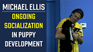 Michael Ellis on Ongoing Socialization in Puppy Development